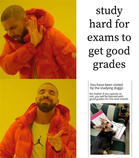 8 Exam memes ideas in 2024 .